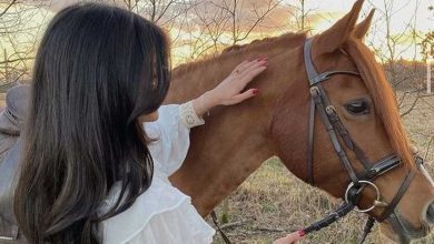 زیبا ترین ژست های عکاسی بدون چهره در کنار حیوانات