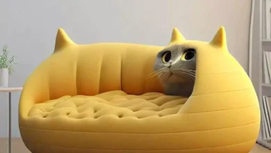 شیک ترین و کیوت ترین مدل های مبل راحتی زیبا