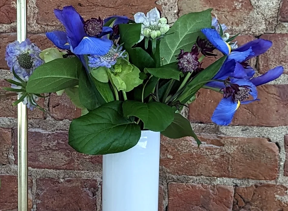 گل آبی برای ولنتاین