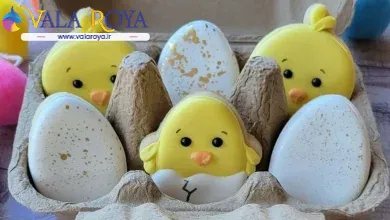 کیوت ترین و جذاب ترین مدل های کوکی طرح جوجه