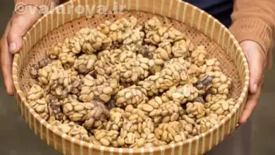 قهوه کوپی لواک