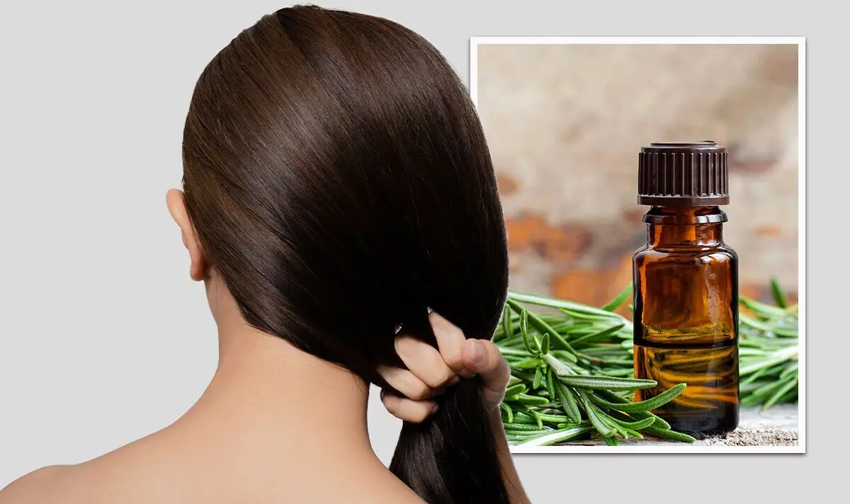 روغن رزماری برای کاهش ریزش مو