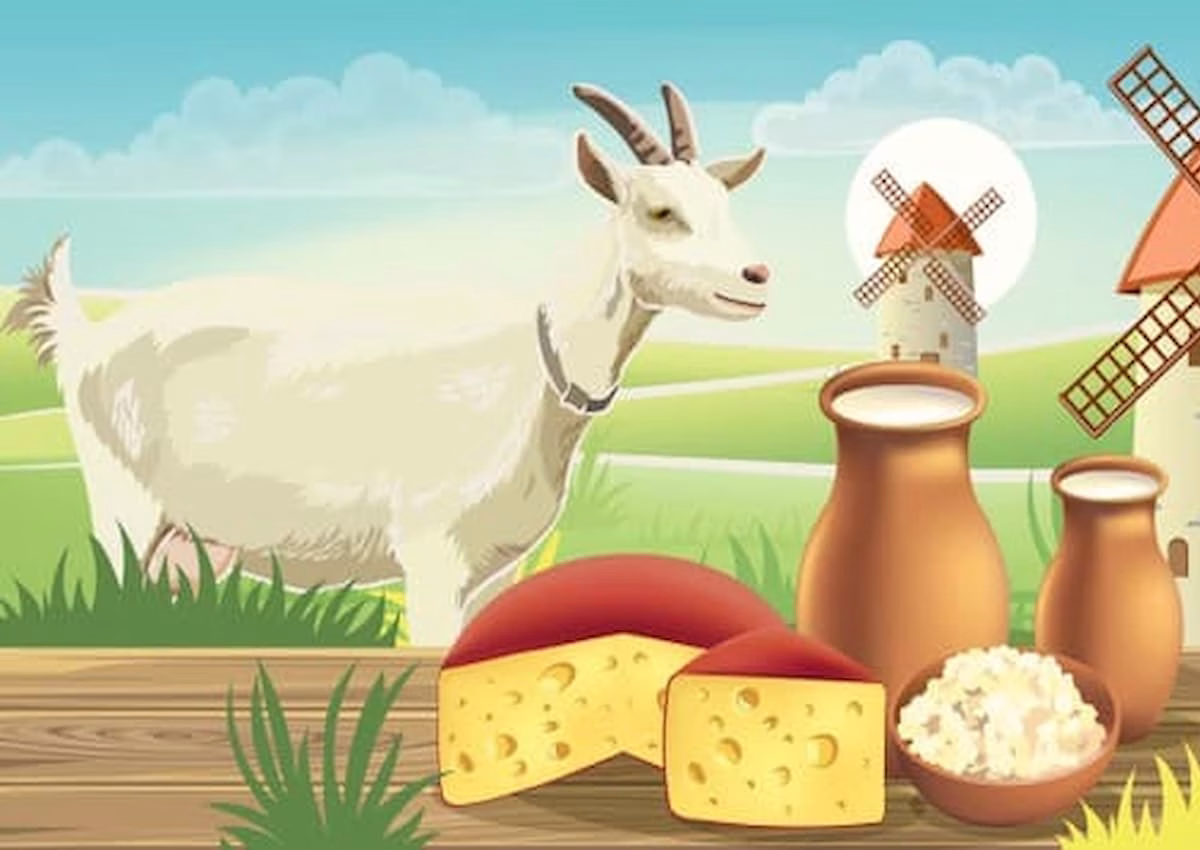 خواص شیر بز چیست