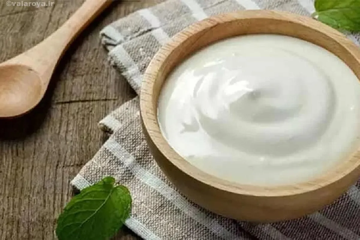 طرز تهیه غذا با ماست | معرفی بهترین غذاهایی که با ماست درست می شوند