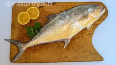 معرفی ماهی‌های جنوب