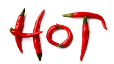 نکاتی درباره مصرف غذای تند در بارداری