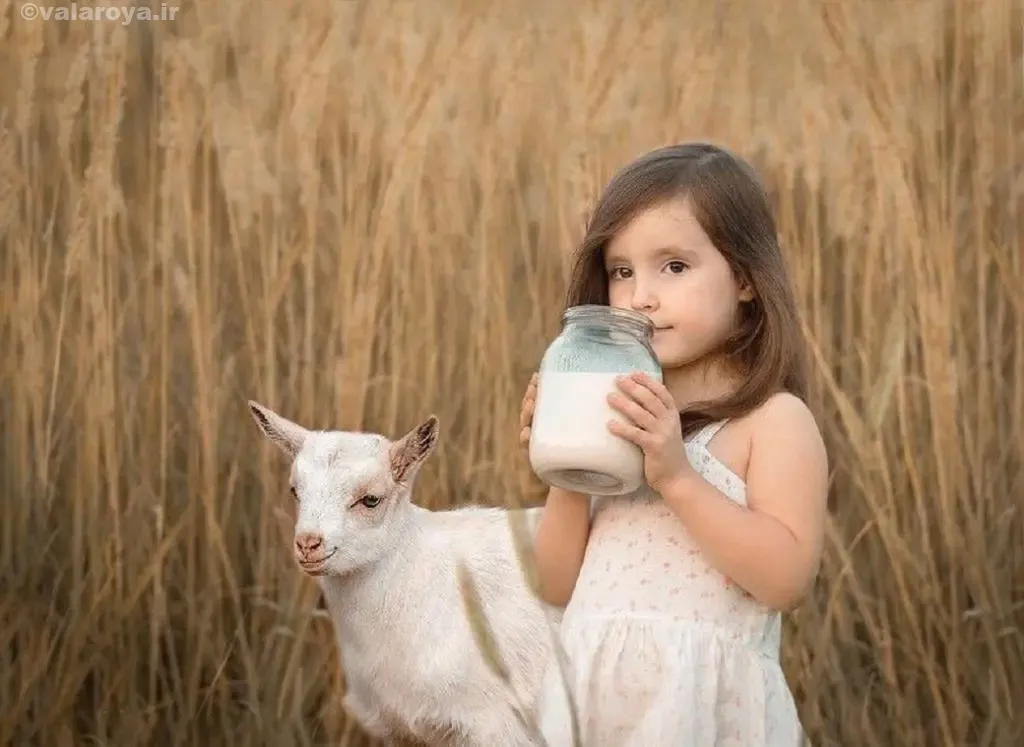 مزایا و خواص شیر بز