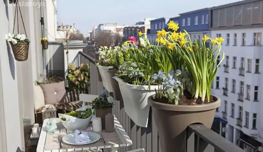 تاثیر استفاده از گل و گیاه در زیباسازی بالکن