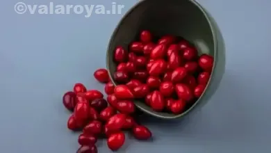 خواص زغال اخته چیست