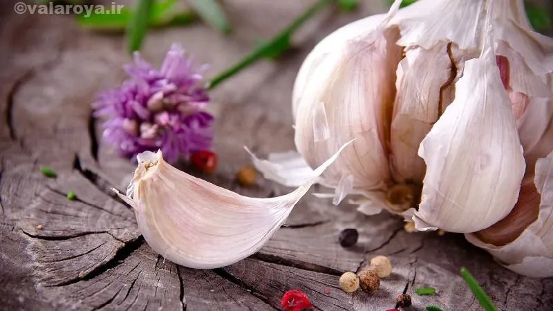 خواص درمانی سیر برای درمان زگیل تناسلی