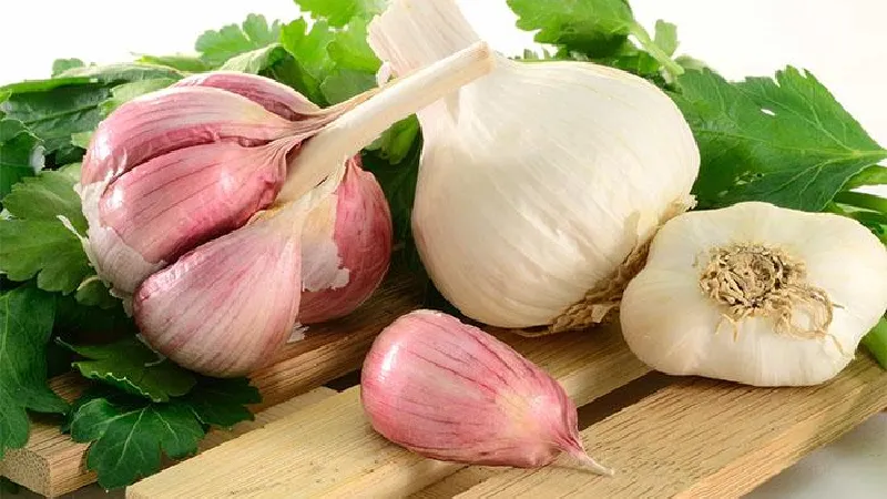 خواص درمانی سیر برای درمان زگیل تناسلی