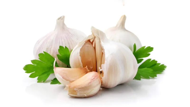 خواص درمانی سیر برای درمان عفونت گوش