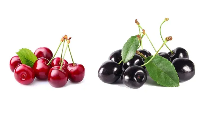 مضرات گیلاس با ایجاد نفخ معده