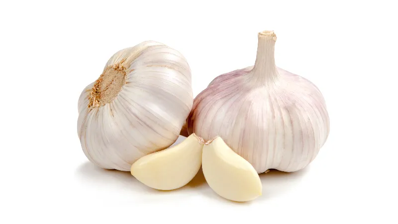 خواص درمانی سیر برای درمان عفونت گوش