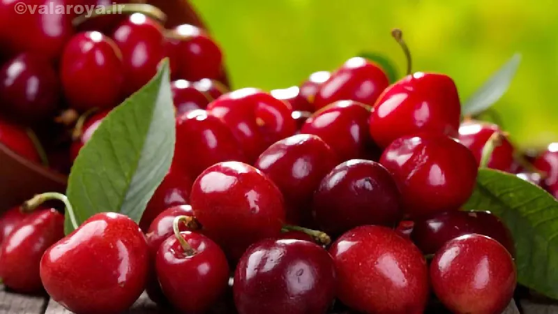 خواص درمانی گیلاس بر درمان بی خوابی
