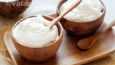 مقایسه انواع ماست برای سلامتی