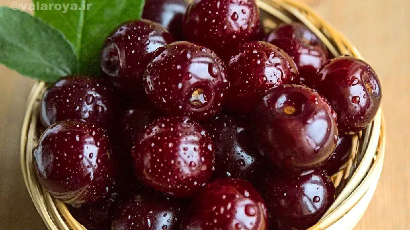 مضرات گیلاس با ایجاد نفخ شکم