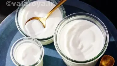 خواص درمانی ماست پروبیوتیک