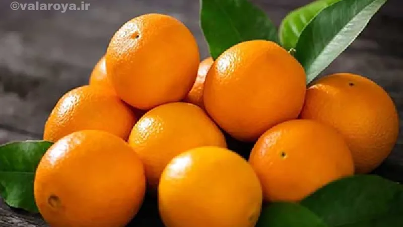 فواید پرتقال برای لاغری