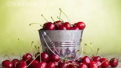 خواص درمانی گیلاس