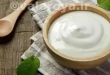 طرز تهیه غذا با ماست | معرفی بهترین غذاهایی که با ماست درست می شوند