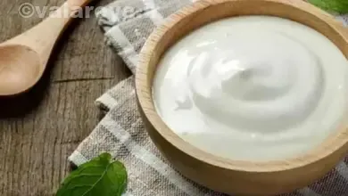 طرز تهیه غذا با ماست | معرفی بهترین غذاهایی که با ماست درست می شوند