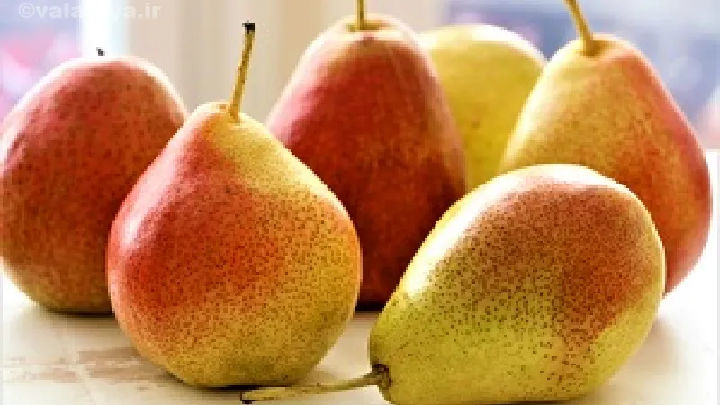 فواید گلابی بر بهبود گردش خون