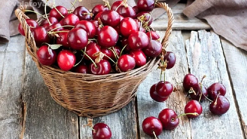 مضرات آلبالو برای بیماران کلیوی