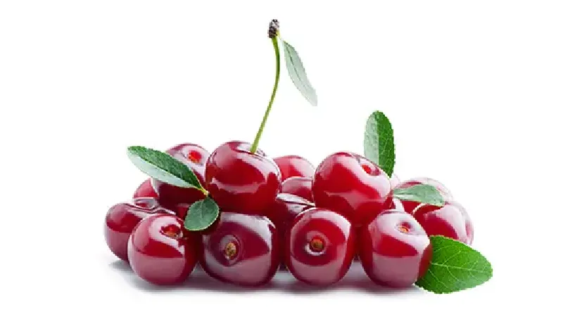 مضرات آلبالو برای بیماران کلیوی