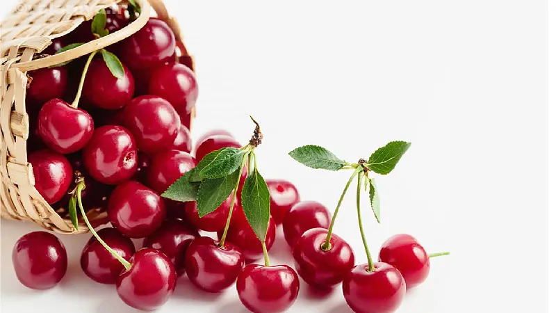 خواص درمانی آلبالو بر کاهش درد عضلانی