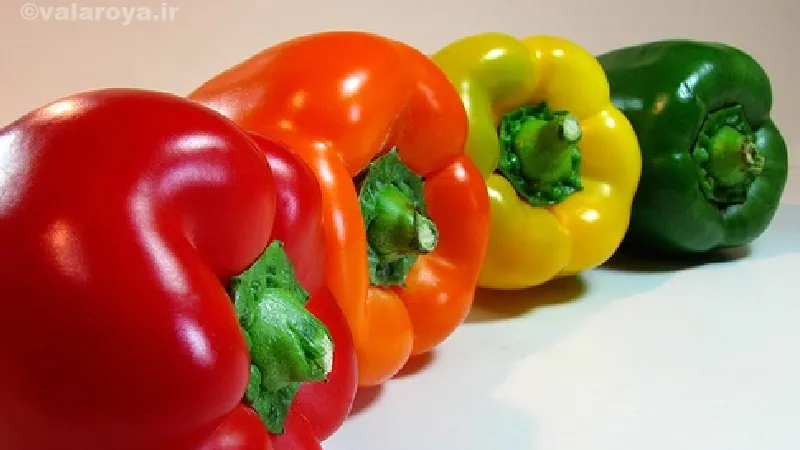 مضرات فلفل دلمه ای 