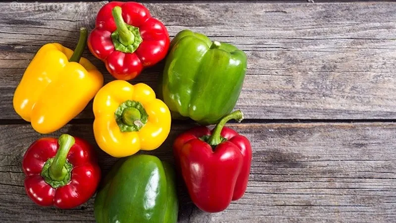 مضرات فلفل دلمه ای با ایجاد آلرژی های غذایی