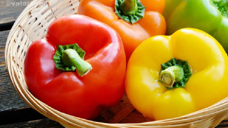 مضرات فلفل دلمه ای با ایجاد آلرژی غذایی 