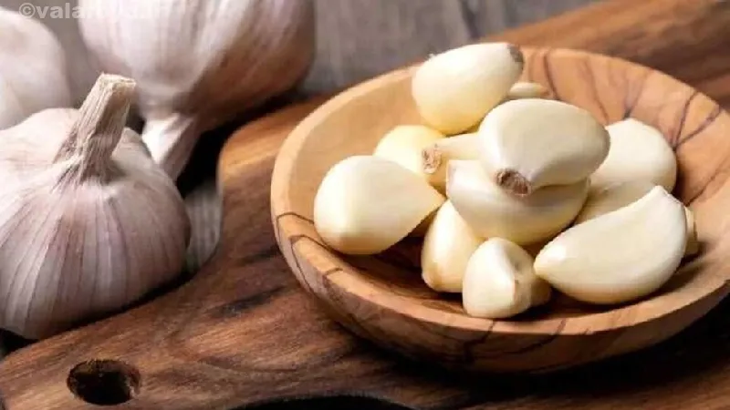 خواص درمانی سیر