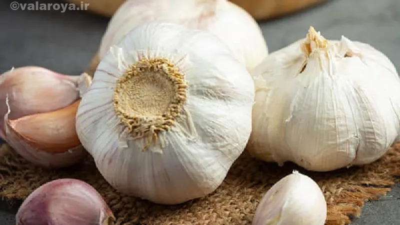 خواص درمانی سیر بر ریزش مو