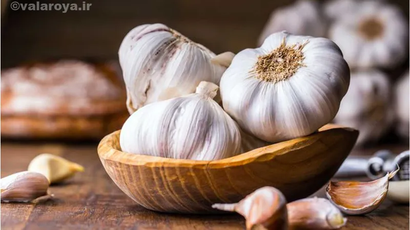 خواص درمانی سیر برای ریزش مو