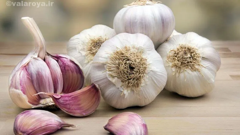 خواص درمانی سیر برای درمان میخچه پا