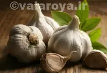 آشپزی با سیر