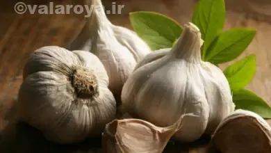 آشپزی با سیر