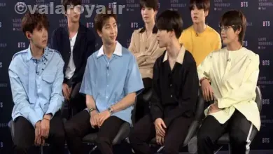 بی تی اس فن ها