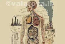 آلودگی چه تاثیراتی بر بدن دارد؟