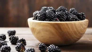 دانستنی هایی درباره خواص تمشک که نمیدانستید