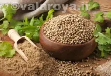 غذاهای مفید برای کم کاری تیروئید در طب سنتی