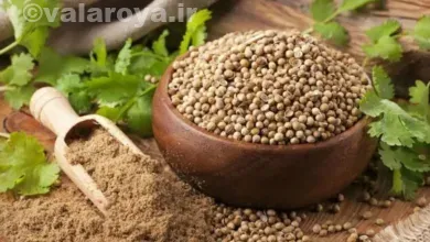 غذاهای مفید برای کم کاری تیروئید در طب سنتی