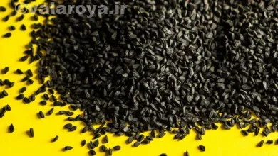 خواص درمانی سیاه دانه