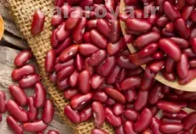 خواص لوبیا قرمز