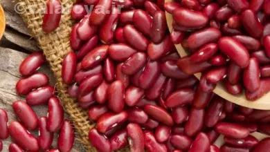 خواص لوبیا قرمز
