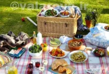 چه غذاهایی می‌توانم در سفر با خود ببرم؟