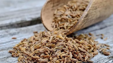 مهمترین خواص عرق زیره برای لاغری، گوارش و سلامت عمومی بدن