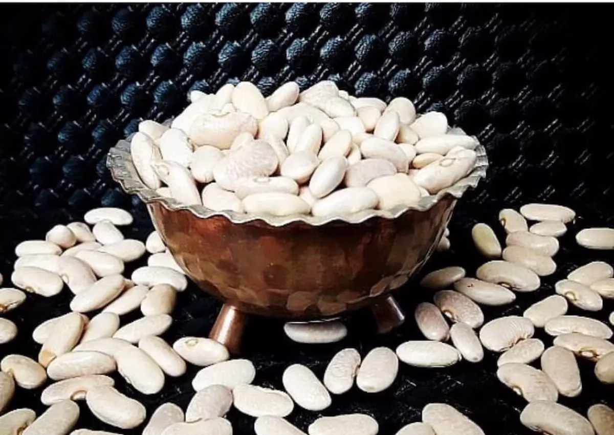 لوبیا سفید و خواص شگفت انگیز آن برای سلامتی
